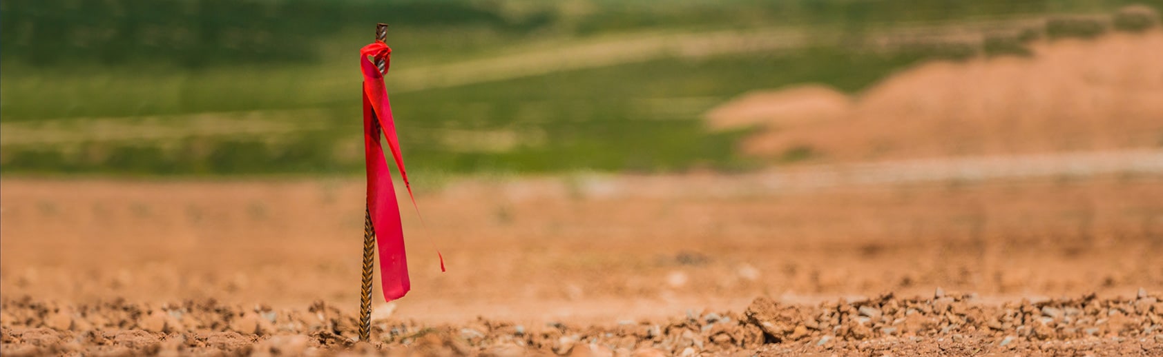 site analysis and feasibility study