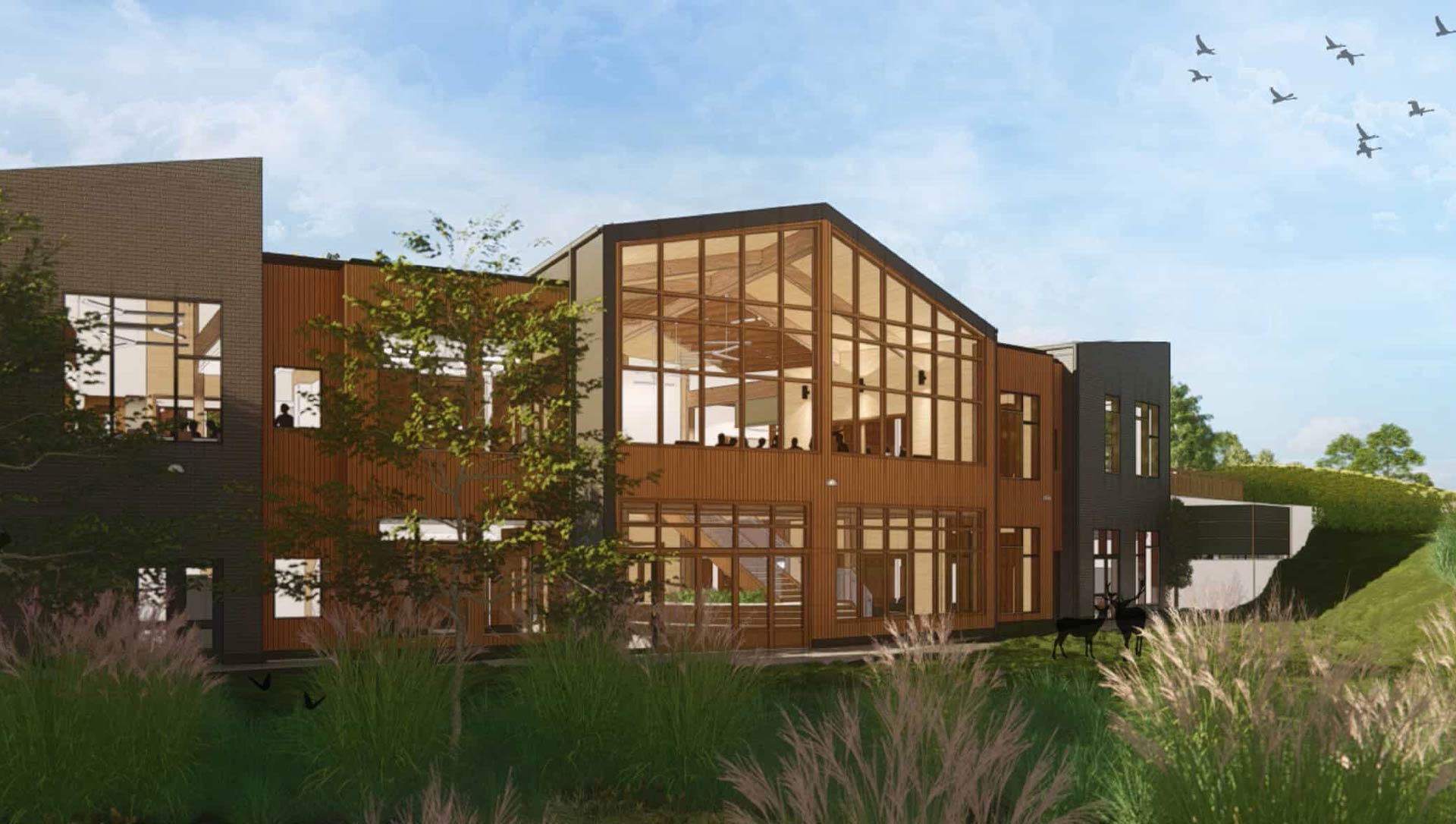 PatriquinArchitects_SleepingGiantSchool_02